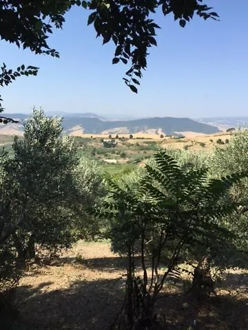 Vakantiehuis Terrace House !