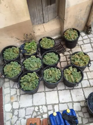 Terrace House ! * Irsina