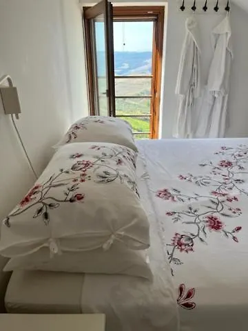 Terrace House ! Irsina